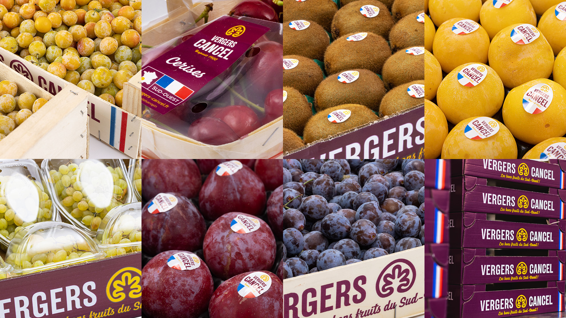 univers_marque_vergers_cancel_2